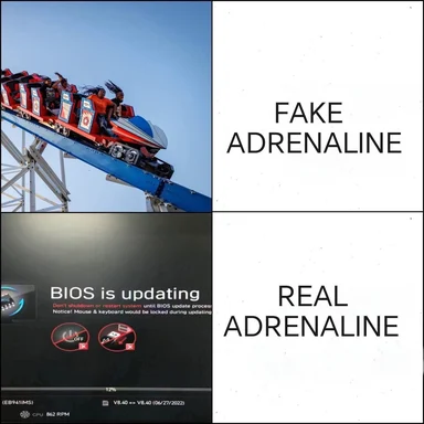 a rollercoaster and a computer screen comparing fake and real adrenaline