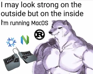 Strong muscular wolf with keyboards and logos of programming tools with caption 'I may look strong on the outside but on the inside I'm running MacOS'