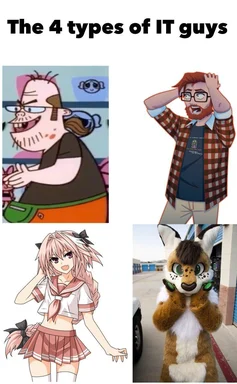 The 4 types of IT guys meme