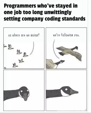 programmers setting company coding standards meme