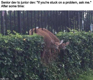 Two deer hiding behind a hedge with a senior dev and junior dev problem-solving joke