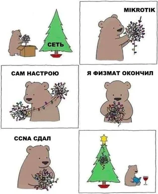 Cartoon bear comic strip: a network engineer unpacks a tangled MikroTik network, boasts about finishing physics-math and