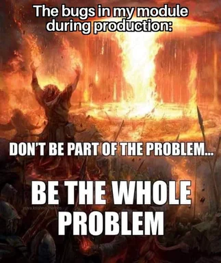 a person standing in a burning landscape with their arms raised, with the text 'The bugs in my module during production: DON'T BE PART OF THE PROBLEM... BE THE WHOLE PROBLEM'