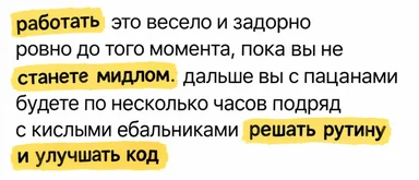 Текстовый мем с жёлтым выделением: работать весело, пока не станешь мидлом, дальше — часы рутины и улучшения кода с кислыми лицами