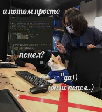 a cat in a blue sweatshirt sits at a computer with a woman explaining code on the screen