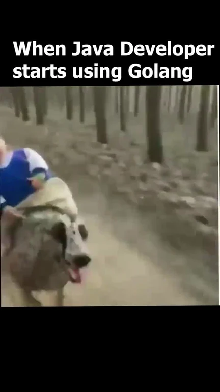 a person riding a wolf with the caption 'When Java Developer starts using Golang'