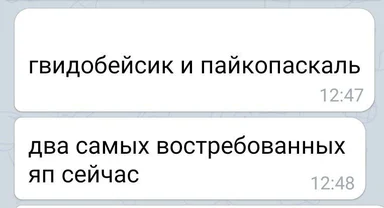 russian text message about programming languages