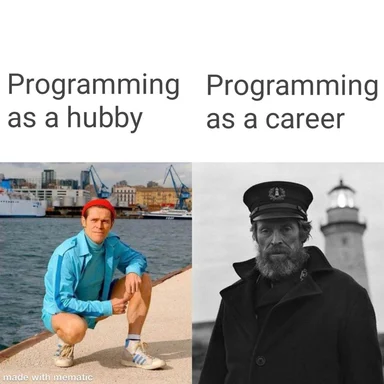 humorous contrast between hobbyist and professional programming life