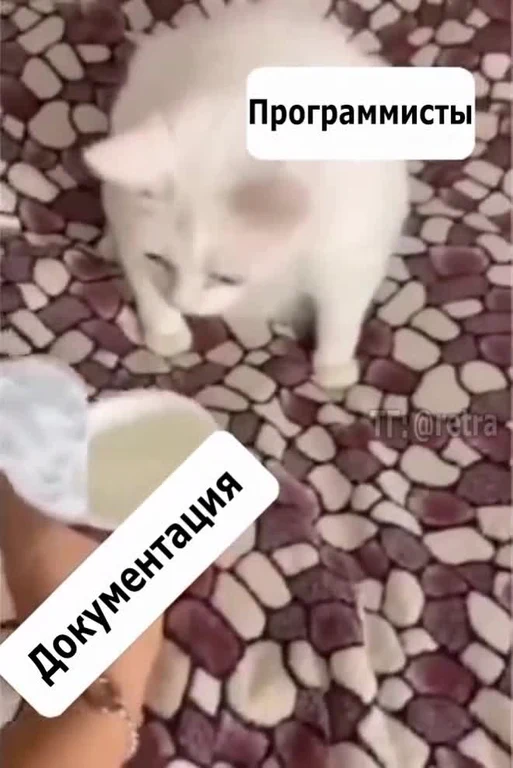 white cat looking at a bowl of milk with russian text overlay