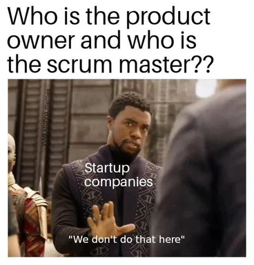 Startup companies not following scrum roles