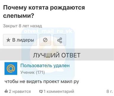 russian social media post screenshot with a humorous answer to a question about kittens