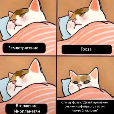 cat sleeping through natural disasters but not when asked to disable firewall