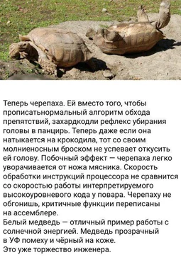 Tortoise with reflex to pull head into shell avoiding crocodile bite compared to inefficient code optimization
