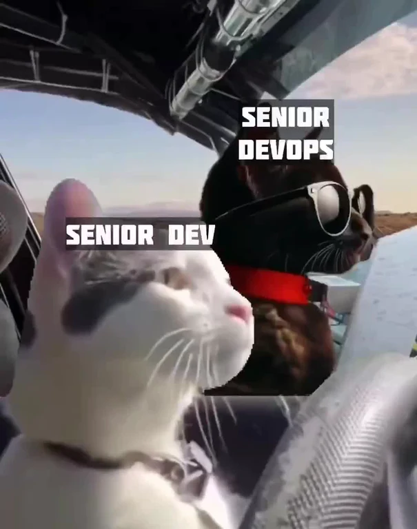 Two cats driving a convertible labeled senior dev and senior devops