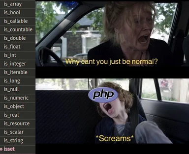 PHP meme with woman and girl screaming in a car