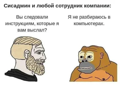 Two-panel cartoon meme: a bearded sysadmin asks if the employee followed the sent instructions, while a chimp character