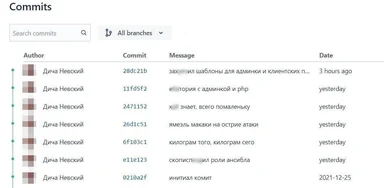 Commits page with humorous commit messages