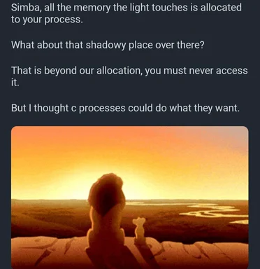 Lion king meme with simba and mufasa looking at memory allocation