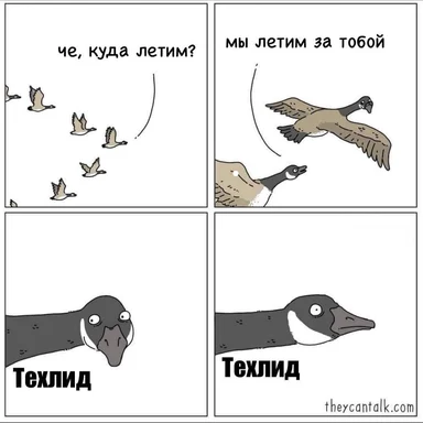Четырёхпанная комикс-картинка с говорящими гусями: техлид сначала в шоке, что за ним летят, потом спокойно это принимает