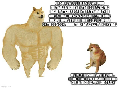 Doge meme with muscular doge and normal doge