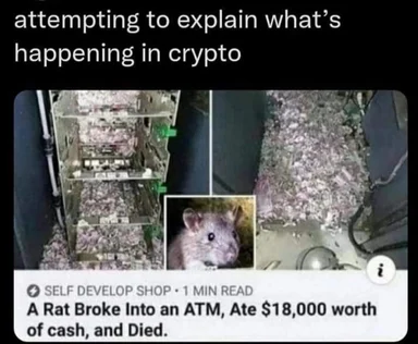 meme about a rat eating cash in an atm with a shocked expression