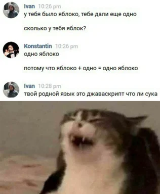 angry cat meme with russian conversation about math and javascript