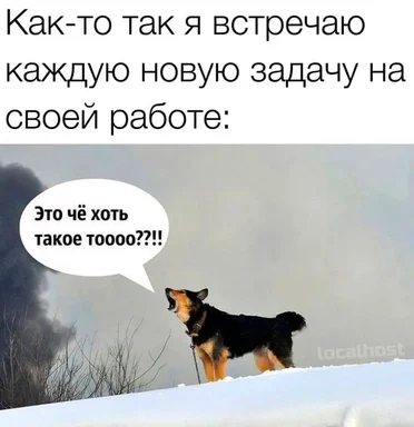Dog in snow with speech bubble