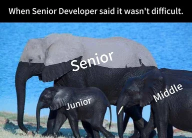 Elephant family with senior, middle, and junior labels, representing developer experience levels