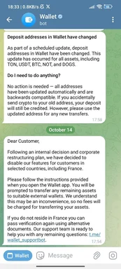 crypto wallet support bot screenshot with contradictory messages