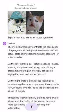 programmer interview meme with cat in sunglasses and cap next to stressed cat