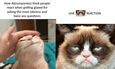 Grumpy cat meme reacting to basic questions