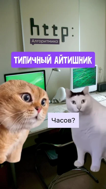 Two cats at a desk with computer screens and a humorous exchange