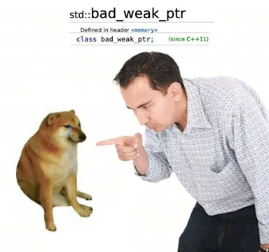 Sad doge reacting to bad_weak_ptr error