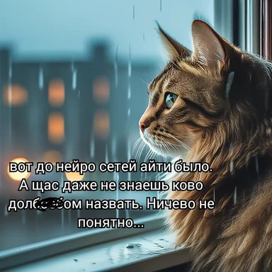 cat looking out the window on a rainy day with russian text overlay
