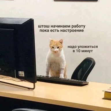 cat sitting at office desk with computer and chair, looking displeased