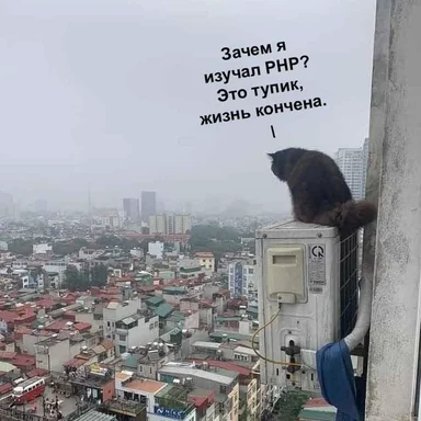 A meme of a cat sitting on an air conditioner unit overlooking a cityscape with a caption in Russian.