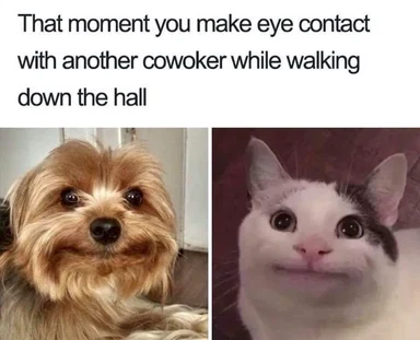 funny meme about awkward eye contact with a coworker
