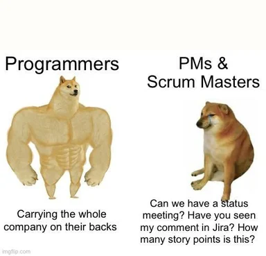 Doge meme comparing programmers to PMs and Scrum Masters