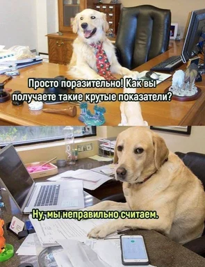 Two dogs in office settings with Russian captions