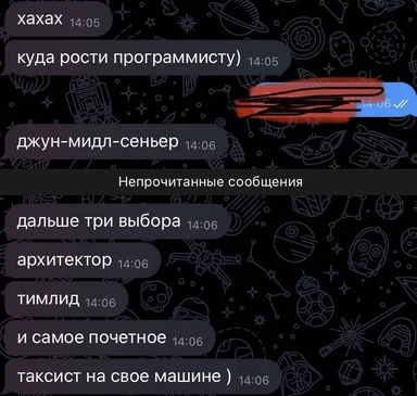 russian text message conversation about programmer career paths