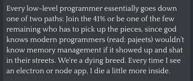 programmer lamenting the decline of low-level programming skills
