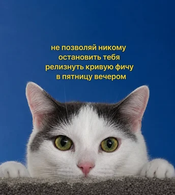 Close up of a white and grey cat with green eyes staring forward. Yellow Russian text overlay reads: 'Don't let anyone stop you from releasing a bad feature on Friday night'.