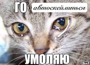 Sad cat with tears and russian text
