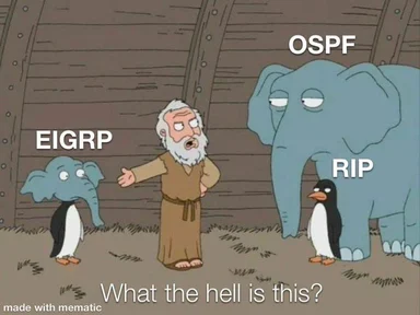Noah's arc meme with penguins and elephants labeled EIGRP, RIP, and OSPF