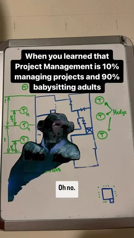 A meme about project management being 10 percent managing projects and 90 percent babysitting adults
