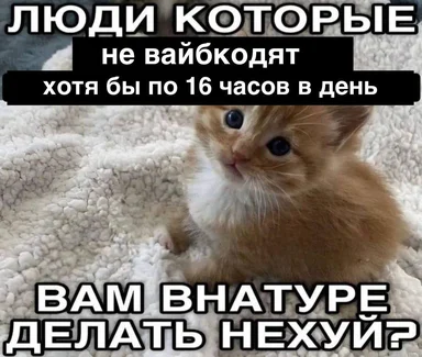 Cute orange kitten sitting on a white fluffy blanket with Russian text about people who vibe-code 16 hours a day