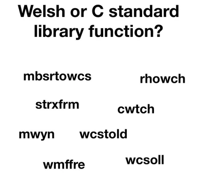 welsh-or-c-standard-library-function-meme
