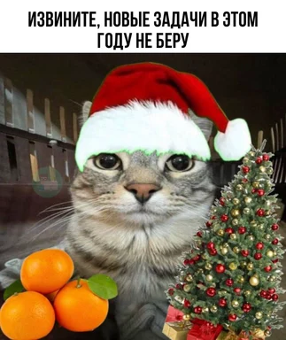 A meme of a cat in a Santa hat with a Christmas tree and oranges, with a caption in Russian.