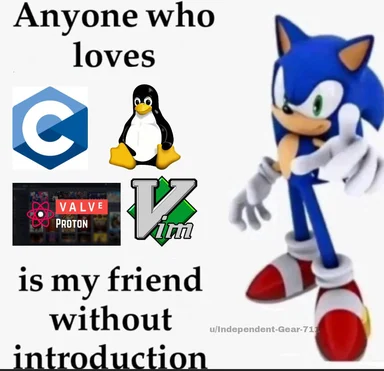 sonic the hedgehog next to logos of C, Linux, Valve Proton, and Vim with text 'Anyone who loves is my friend without introduction'