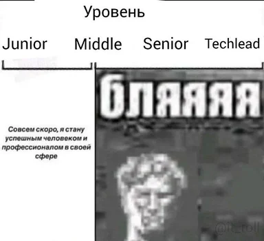 IT meme about developer career levels